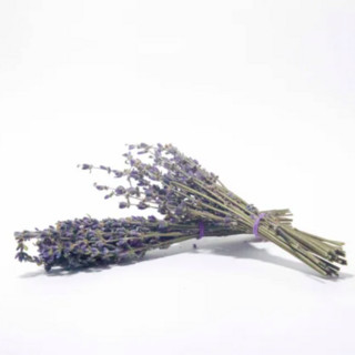 Tomato Mountain Farm