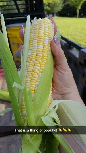 Storm Acres Farm