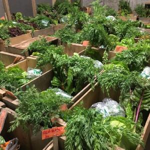 Willow Pond Farm