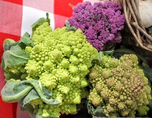 Andersonville Farmers Market