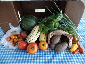MoonRise Farm