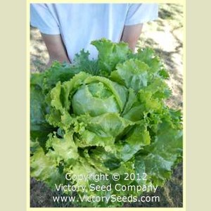 Dunton Family Farm