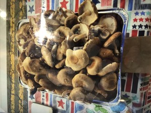 Steves Mushrooms
