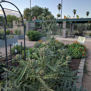 Sun Produce Co-op