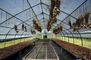 Geauga Family Farms