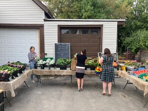 Phil's Farm