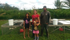 Punachicks Farm