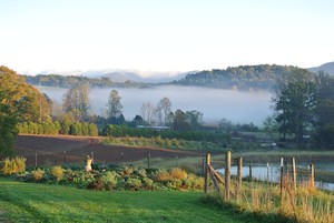 LoganBerry Heritage Farm