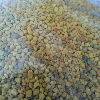 Hood River Organic