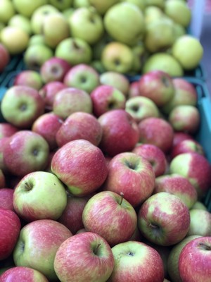 Prevedelli Farms