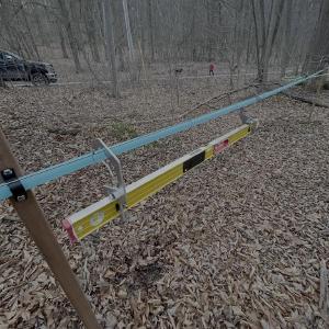 Bender Hill Maple