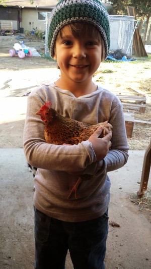 Kountry Made Farm