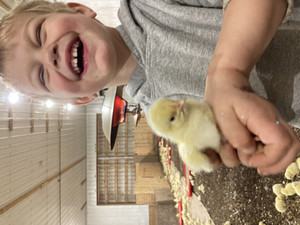 Joe's Farm