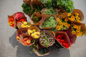 Maitri Farm