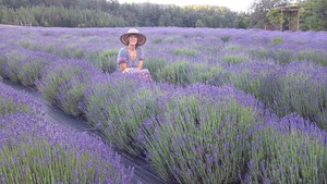 Chrysalis Woman ~ Herb Farm, Goddess Sanctuary & Center for WomanCraft