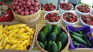 Holly Springs Farmers Market