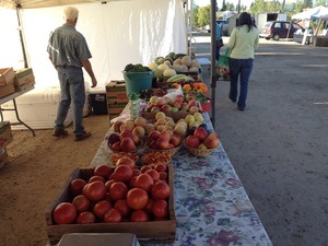 Nature's Table Farm