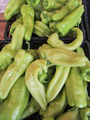 Seedswell Vegetable Farm
