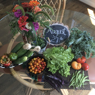 House in the Woods CSA
