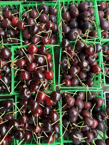 Down to Earth Morningside Park Farmers Market