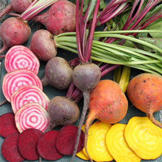 Harlequin Produce