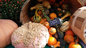 Ashtabula  Farmers' Market