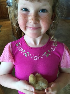 ANNABELLE & MICHAEL'S EGGS at EVERMORE FARM