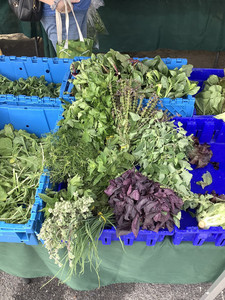 Down to Earth Rye Farmers Market