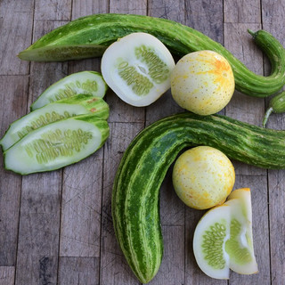 Frog Hollow Farm CSA