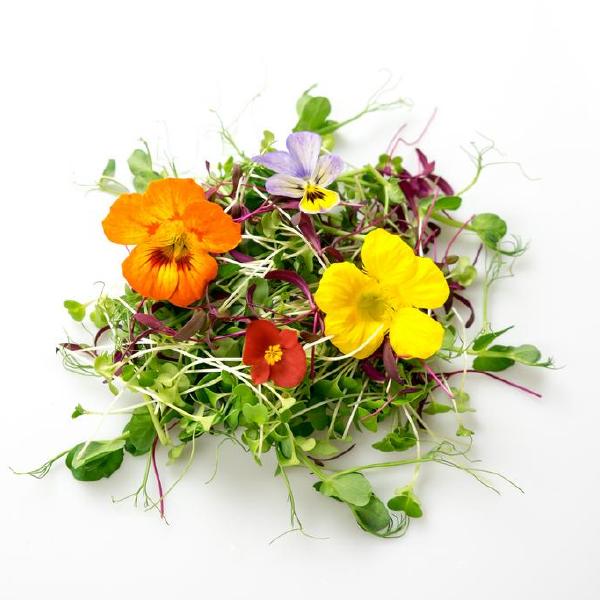 edible flowers