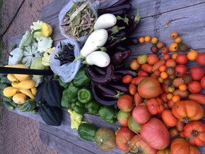 Sunshine Meadows Farm
