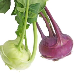 Harvest Tide Organics