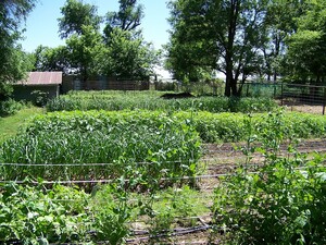 Heartland Farm