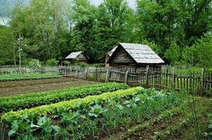 Hubbard Lake Farmers' Market
