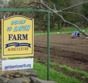 Down to Earth CSA