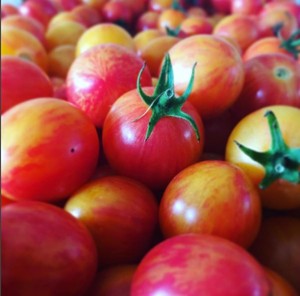 Urth Farms Organic