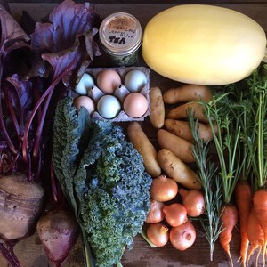 Winslow Food Forest