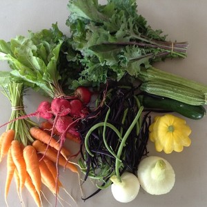 Full Cellar Farm