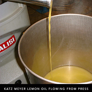 Katz