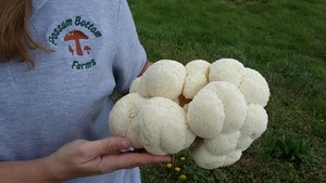 Possum Bottom Farms