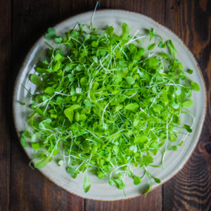 Midland Homestead Microgreens