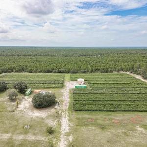 Marker 33 Farms LLC