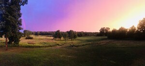 Dancer Creek Farm