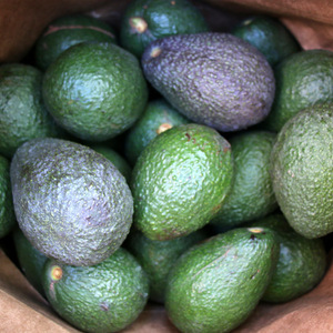 Organic Essentials