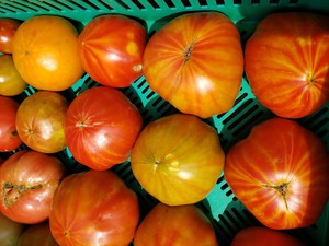 Quarter Acre Farm
