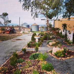 Red Daisy Farm