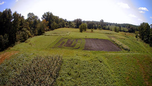 A&B Acres llc