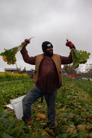 Ironbound Farm