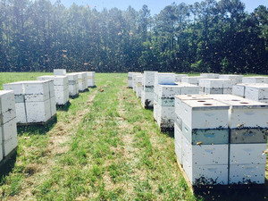 Register Family Farm