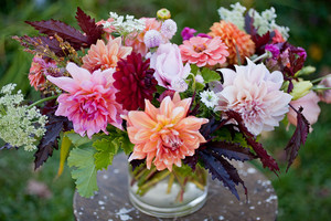 Art Farm Flowers